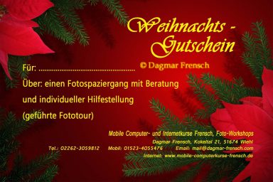 Weihnachtsstern